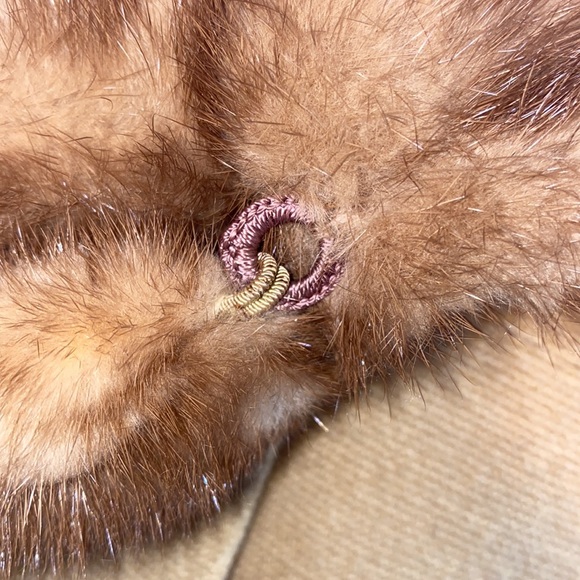 Rothmoore Beauty - Picture 7 of 16